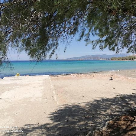Beach N Fun Bbq Fireplace Saronida Номер фото